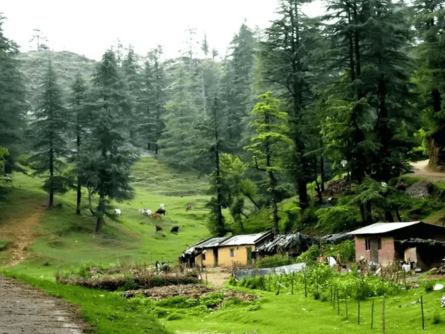 Dehradun