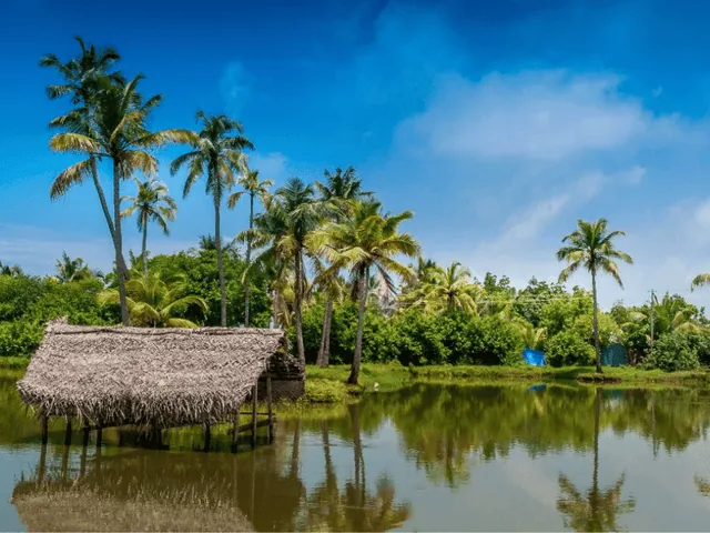 Kochi